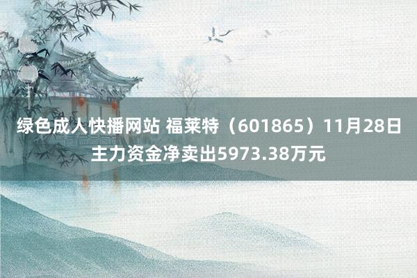 绿色成人快播网站 福莱特（601865）11月28日主力资金净卖出5973.38万元