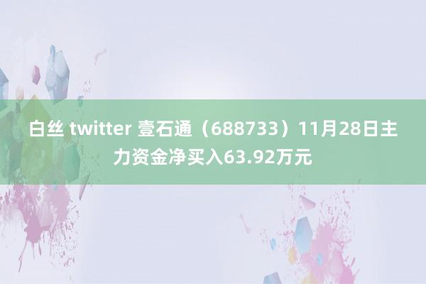 白丝 twitter 壹石通（688733）11月28日主力资金净买入63.92万元