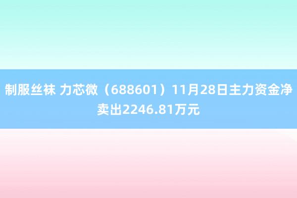 制服丝袜 力芯微（688601）11月28日主力资金净卖出2246.81万元