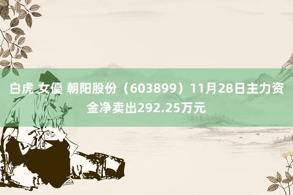 白虎 女優 朝阳股份（603899）11月28日主力资金净卖出292.25万元