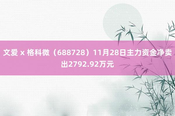 文爱 x 格科微（688728）11月28日主力资金净卖出2792.92万元