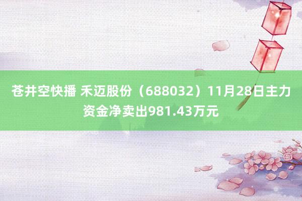 苍井空快播 禾迈股份（688032）11月28日主力资金净卖出981.43万元