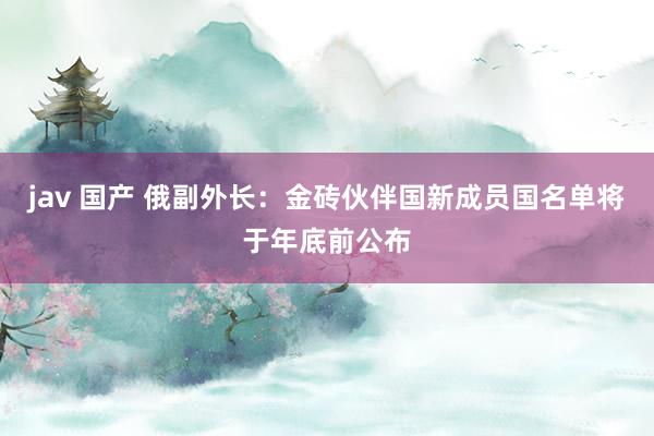 jav 国产 俄副外长：金砖伙伴国新成员国名单将于年底前公布