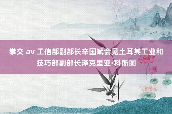 拳交 av 工信部副部长辛国斌会见土耳其工业和技巧部副部长泽克里亚·科斯图