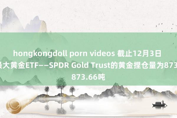 hongkongdoll porn videos 截止12月3日 行家最大黄金ETF——SPDR Gold Trust的黄金捏仓量为873.66吨
