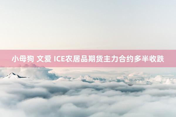 小母狗 文爱 ICE农居品期货主力合约多半收跌