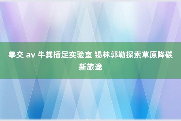 拳交 av 牛粪插足实验室 锡林郭勒探索草原降碳新旅途