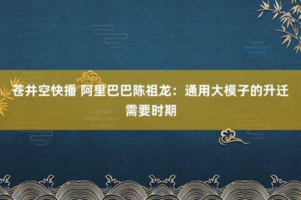 苍井空快播 阿里巴巴陈祖龙：通用大模子的升迁需要时期