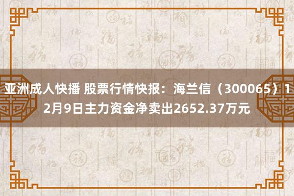 亚洲成人快播 股票行情快报：海兰信（300065）12月9日主力资金净卖出2652.37万元