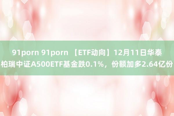 91porn 91porn 【ETF动向】12月11日华泰柏瑞中证A500ETF基金跌0.1%，份额加多2.64亿份