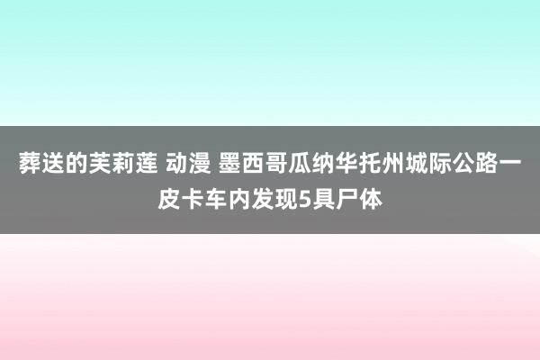葬送的芙莉莲 动漫 墨西哥瓜纳华托州城际公路一皮卡车内发现5具尸体