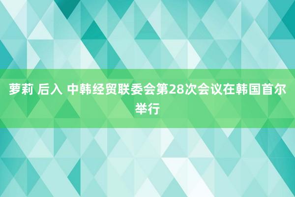 萝莉 后入 中韩经贸联委会第28次会议在韩国首尔举行