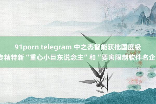 91porn telegram 中之杰智能获批国度级专精特新“重心小巨东说念主”和“要害限制软件名企”