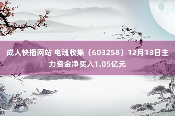 成人快播网站 电魂收集（603258）12月13日主力资金净买入1.05亿元