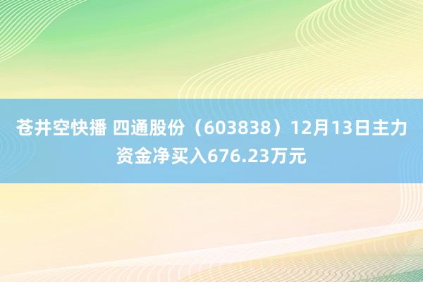 苍井空快播 四通股份（603838）12月13日主力资金净买入676.23万元