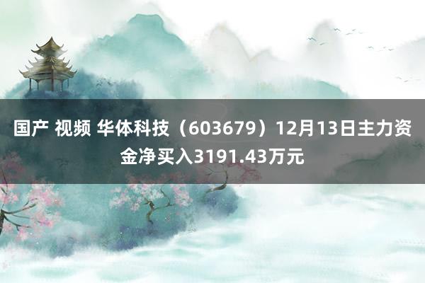 国产 视频 华体科技（603679）12月13日主力资金净买入3191.43万元
