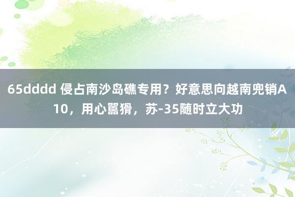 65dddd 侵占南沙岛礁专用？好意思向越南兜销A10，用心嚚猾，苏-35随时立大功