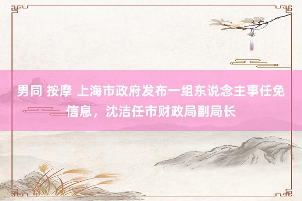 男同 按摩 上海市政府发布一组东说念主事任免信息，沈洁任市财政局副局长