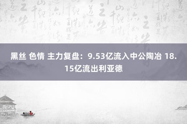 黑丝 色情 主力复盘：9.53亿流入中公陶冶 18.15亿流出利亚德
