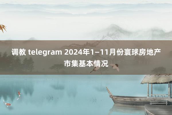 调教 telegram 2024年1—11月份寰球房地产市集基本情况