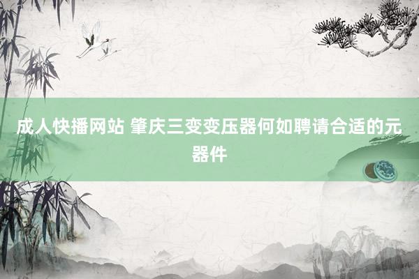 成人快播网站 肇庆三变变压器何如聘请合适的元器件