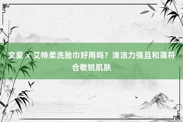 文爱 x 艾特柔洗脸巾好用吗？清洁力强且和蔼符合敏锐肌肤
