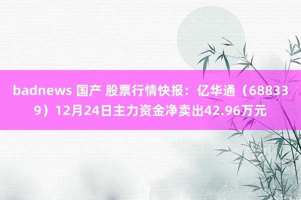 badnews 国产 股票行情快报：亿华通（688339）12月24日主力资金净卖出42.96万元