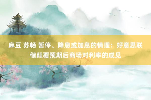 麻豆 苏畅 暂停、降息或加息的情理：好意思联储颠覆预期后商场对利率的成见