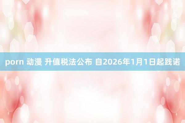 porn 动漫 升值税法公布 自2026年1月1日起践诺