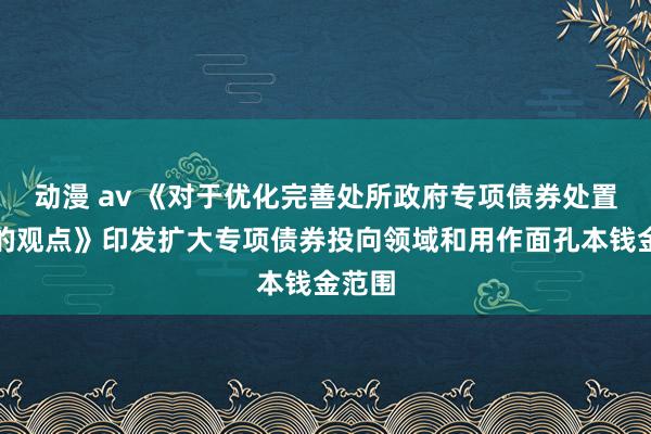 动漫 av 《对于优化完善处所政府专项债券处置机制的观点》印发扩大专项债券投向领域和用作面孔本钱金范围
