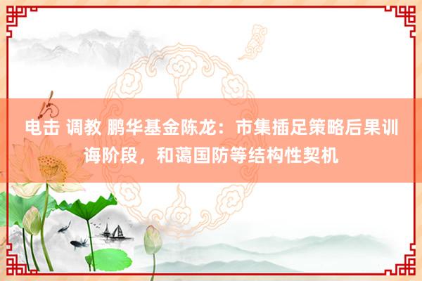 电击 调教 鹏华基金陈龙：市集插足策略后果训诲阶段，和蔼国防等结构性契机
