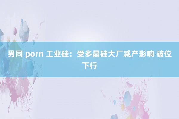 男同 porn 工业硅：受多晶硅大厂减产影响 破位下行