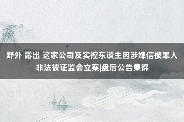野外 露出 这家公司及实控东谈主因涉嫌信披罪人非法被证监会立案|盘后公告集锦