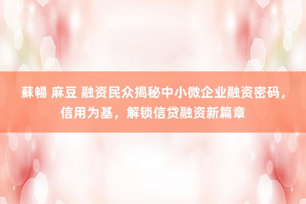 蘇暢 麻豆 融资民众揭秘中小微企业融资密码，信用为基，解锁信贷融资新篇章