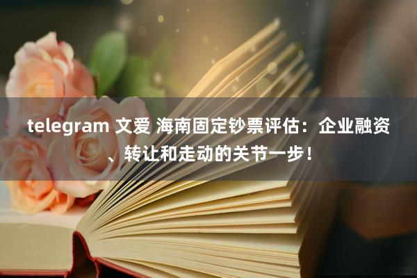 telegram 文爱 海南固定钞票评估：企业融资、转让和走动的关节一步！