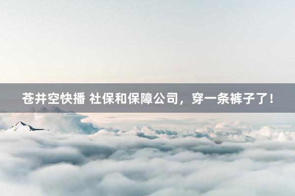 苍井空快播 社保和保障公司，穿一条裤子了！