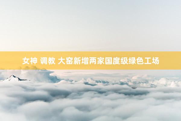 女神 调教 大窑新增两家国度级绿色工场