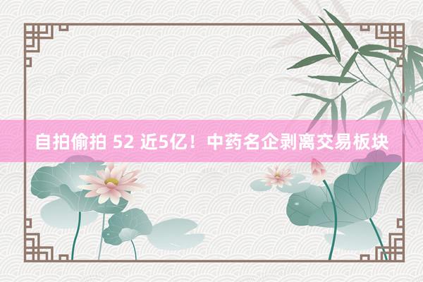 自拍偷拍 52 近5亿！中药名企剥离交易板块