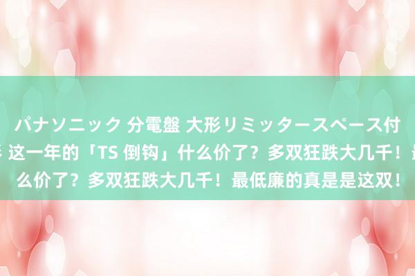 パナソニック 分電盤 大形リミッタースペース付 露出・半埋込両用形 这一年的「TS 倒钩」什么价了？多双狂跌大几千！最低廉的真是是这双！