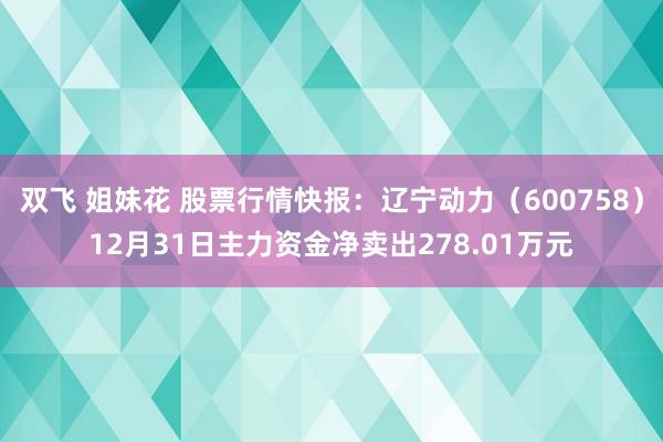 双飞 姐妹花 股票行情快报：辽宁动力（600758）12月31日主力资金净卖出278.01万元