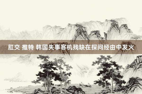 肛交 推特 韩国失事客机残缺在探问经由中发火