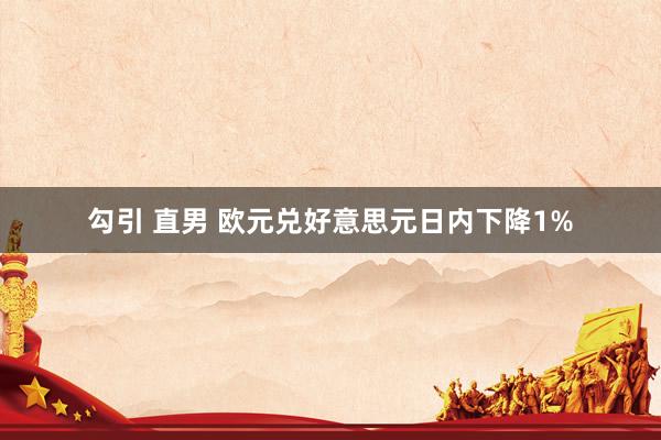 勾引 直男 欧元兑好意思元日内下降1%