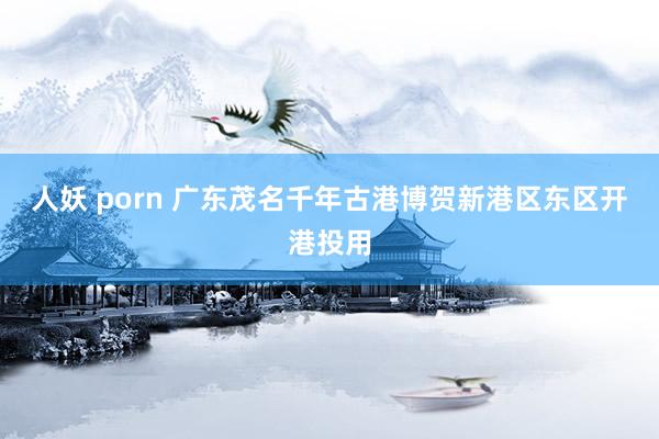 人妖 porn 广东茂名千年古港博贺新港区东区开港投用