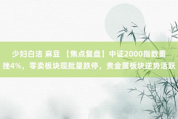 少妇白洁 麻豆 【焦点复盘】中证2000指数重挫4%，零卖板块现批量跌停，贵金属板块逆势活跃