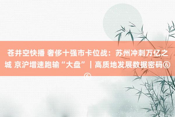 苍井空快播 奢侈十强市卡位战：苏州冲刺万亿之城 京沪增速跑输“大盘”｜高质地发展数据密码⑥