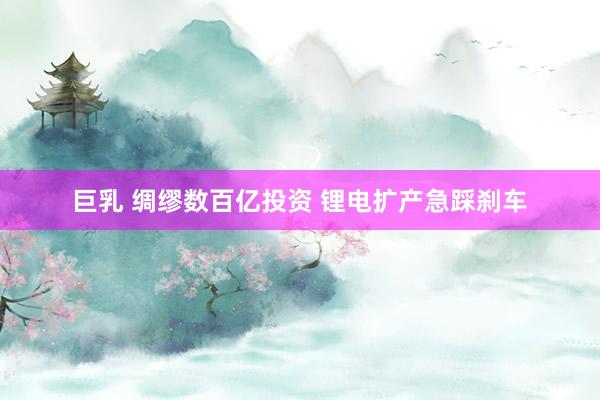 巨乳 绸缪数百亿投资 锂电扩产急踩刹车