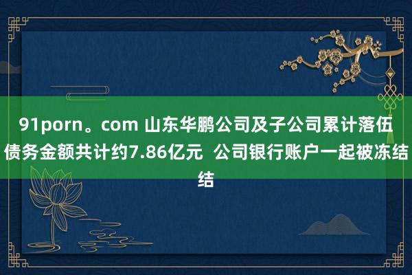 91porn。com 山东华鹏公司及子公司累计落伍债务金额共计约7.86亿元  公司银行账户一起被冻结