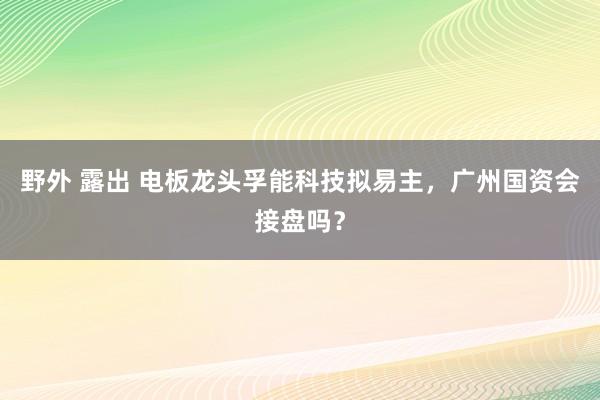 野外 露出 电板龙头孚能科技拟易主，广州国资会接盘吗？