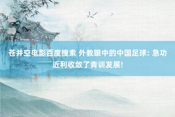 苍井空电影百度搜索 外教眼中的中国足球: 急功近利收敛了青训发展!