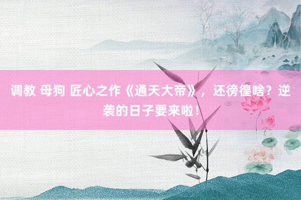 调教 母狗 匠心之作《通天大帝》，还徬徨啥？逆袭的日子要来啦！
